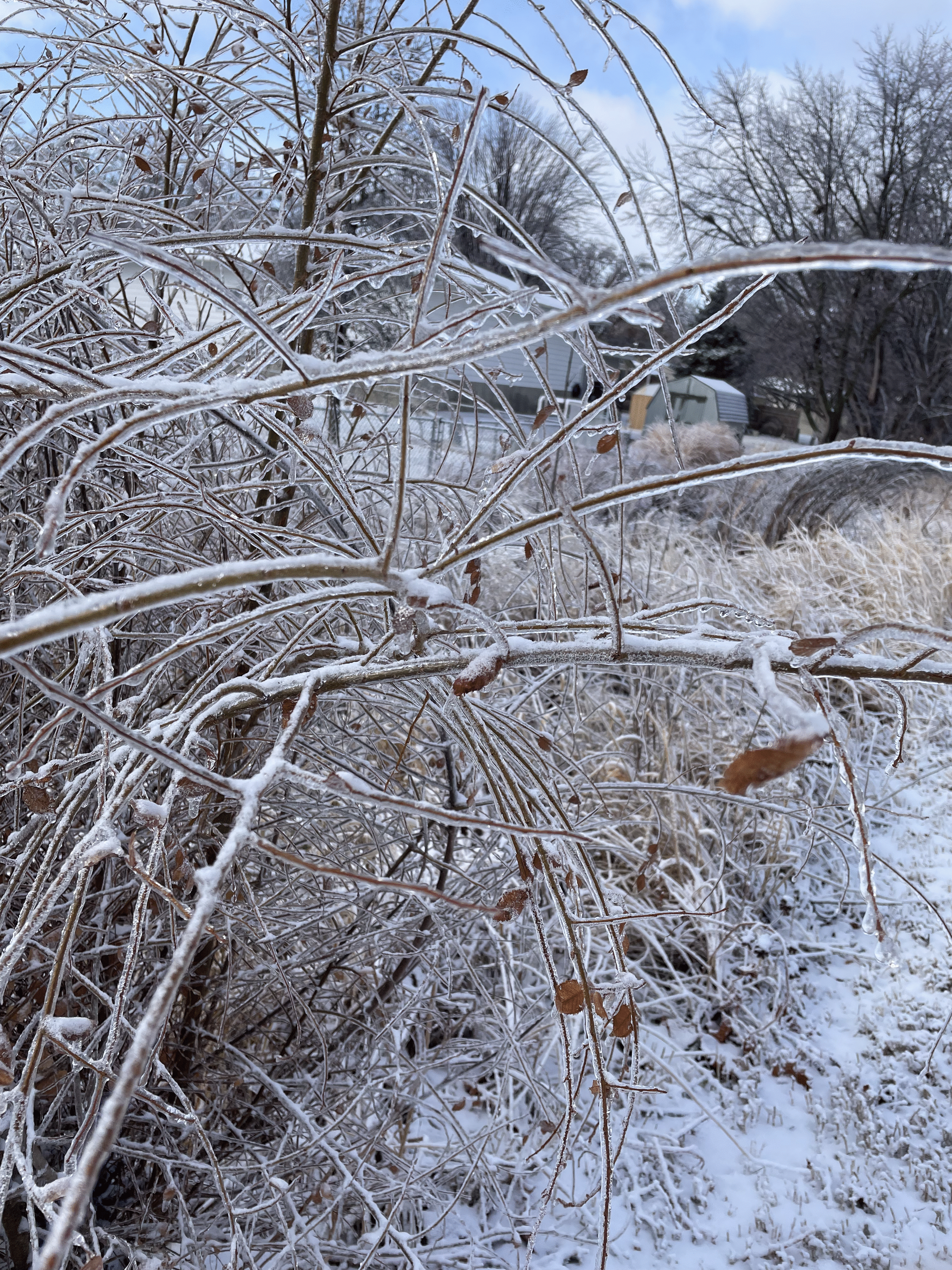 Mopac Trail in Winter